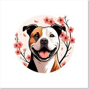 American Staffordshire Terrier Welcomes Spring with Cherry Blossoms Posters and Art